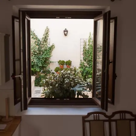 Patios De La Riva *